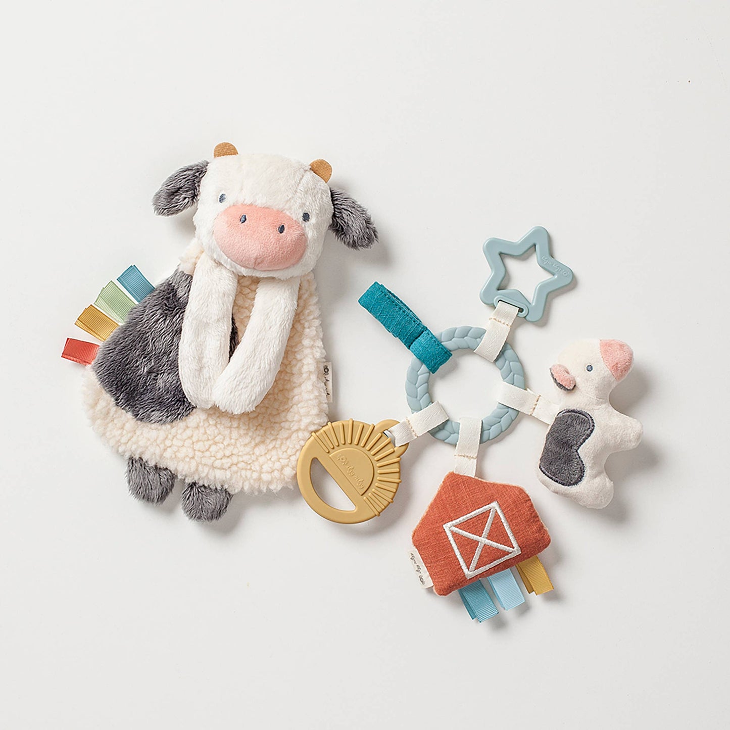 Bitzy Busy Gift Set | True Enrich Solutions