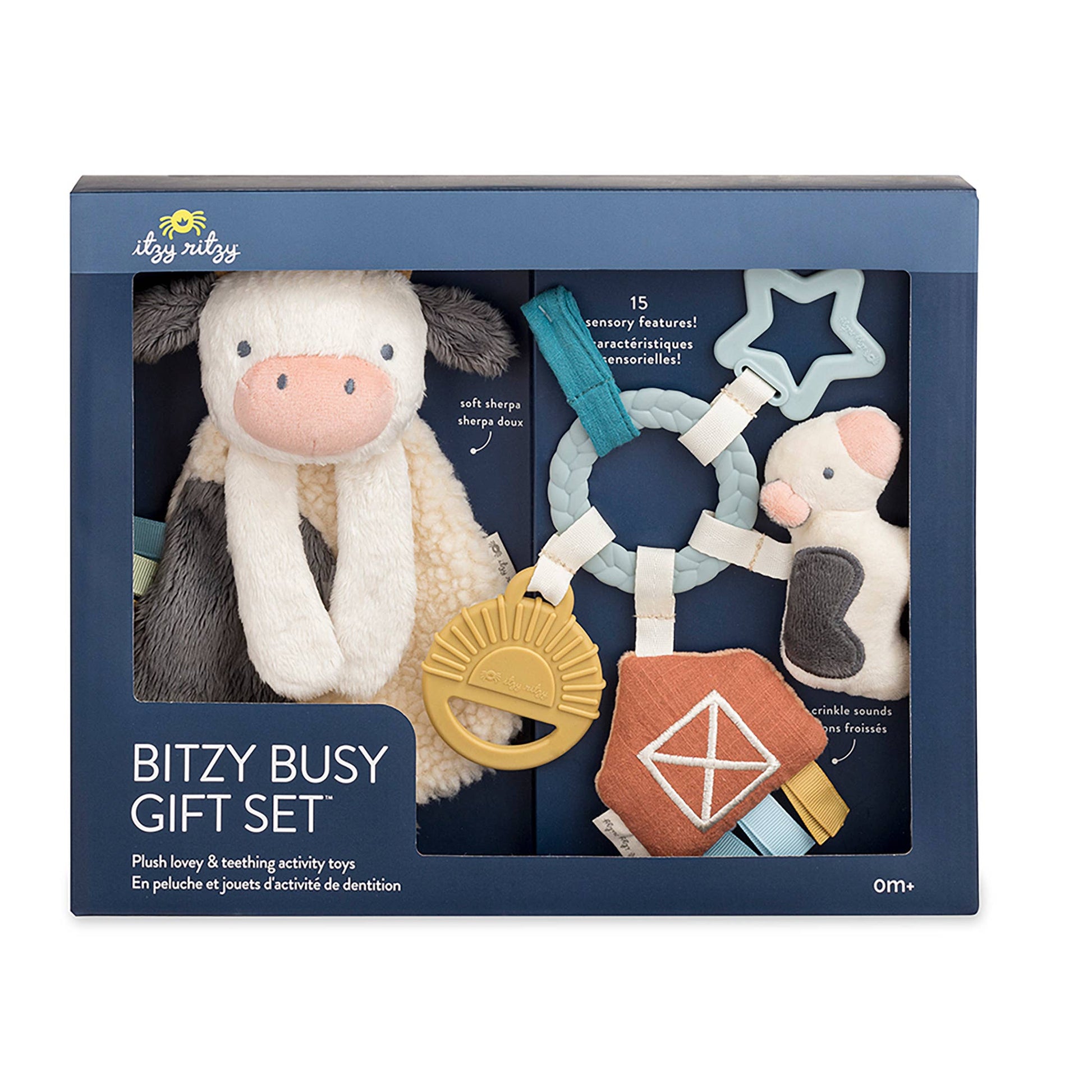 Bitzy Busy Gift Set | True Enrich Solutions